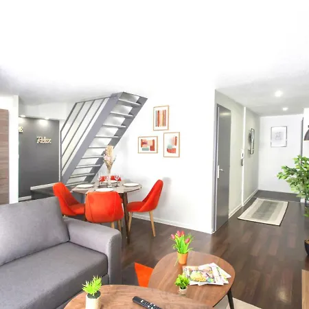 Duplex - Le Cosy - Hyper Centre Haguenau